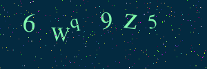 Validation image